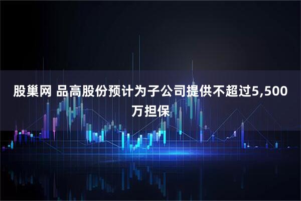 股巢网 品高股份预计为子公司提供不超过5,500万担保