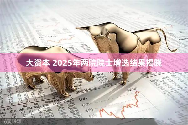 大资本 2025年两院院士增选结果揭晓