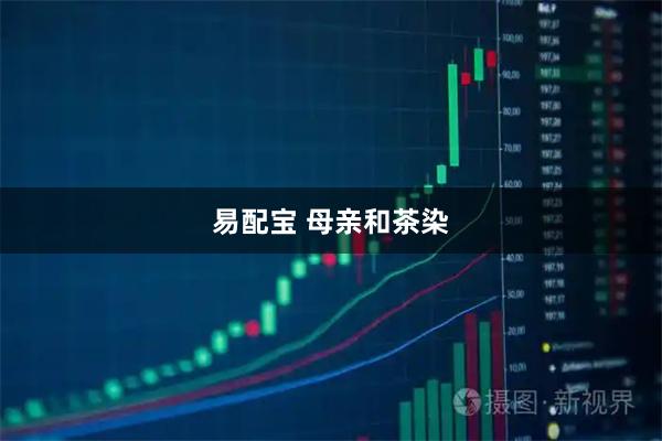 易配宝 母亲和茶染